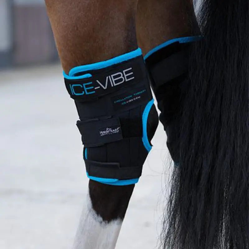 Pagamento Sicuro Ginocchiera posteriore Horseware ICE-VIBE hock wrap