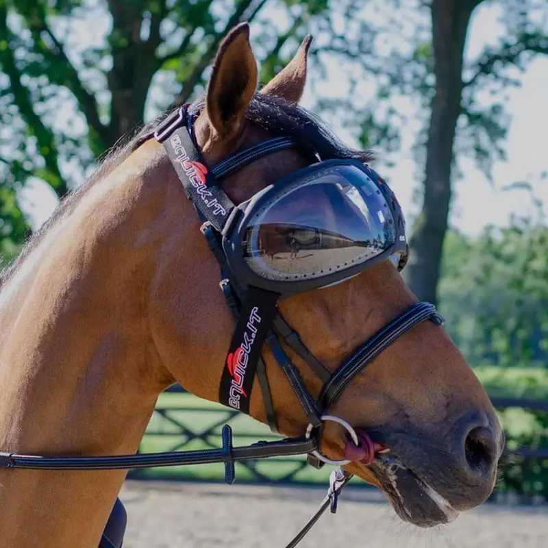 Sconto eQuick eVysor trasparente protezione occhi per cavallo