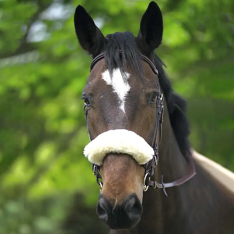 Nasalina in agnello sintetico Equitheme Subito Disponibile