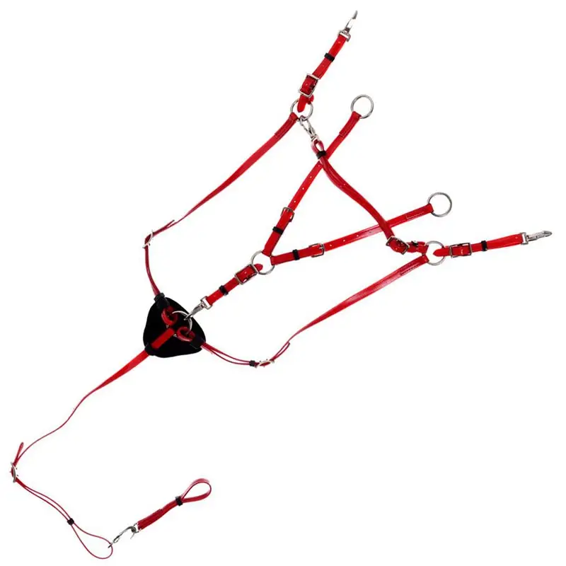 Martingala da caccia Daslo in morbido PVC Spedizione Espresso
