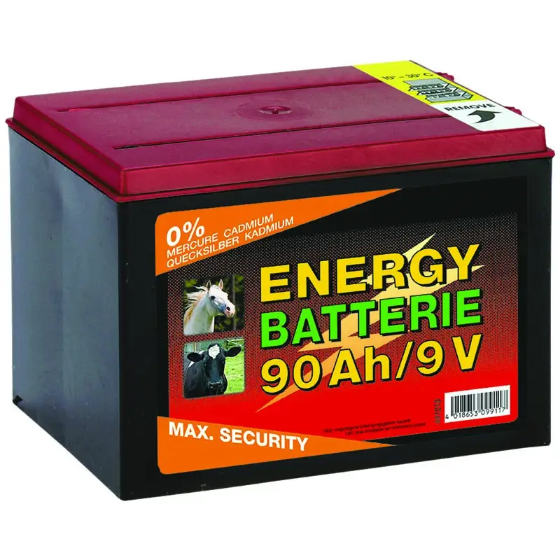 Consegna Rapida Batteria a secco 10.000 ore 9 V / 90 Ah