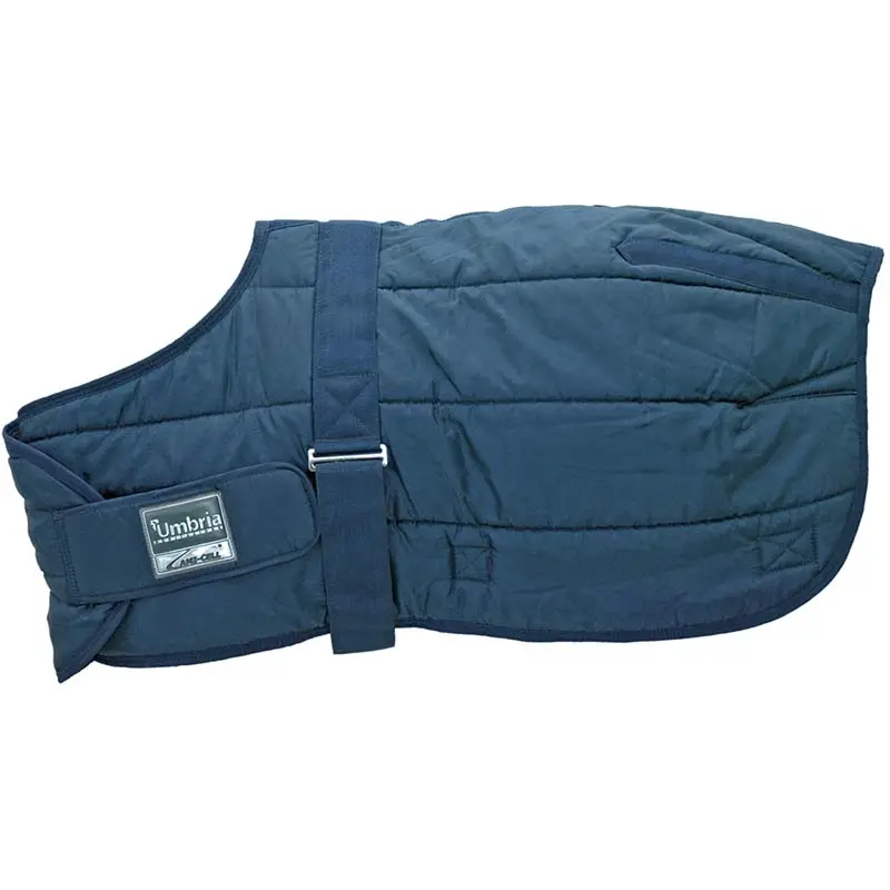 Coperta da box per puledri o pony 250 gr Bestseller