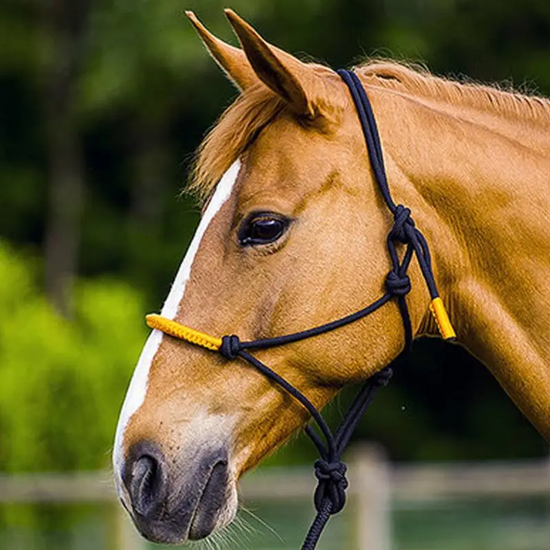 Must-Have Cavezza in corda con nodi e lunghina color Horsemanship