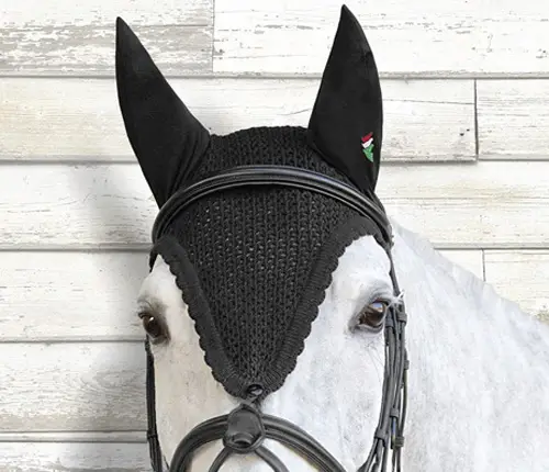 Occasione Imperdibile Cuffia Equiline mod. Loop con tirante per briglia
