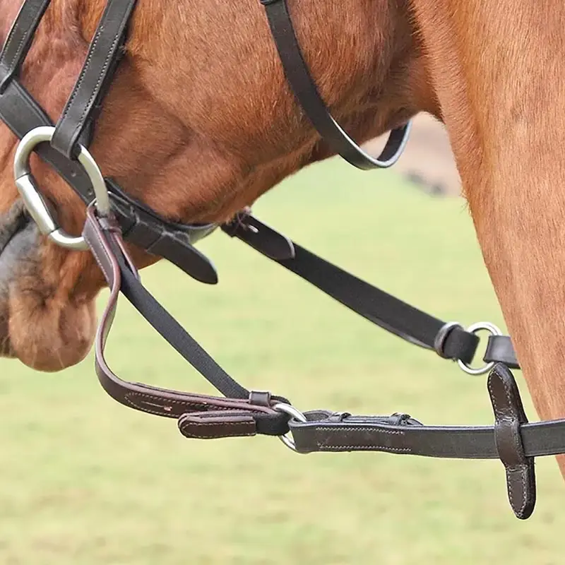 Esclusivo Flexi Rein Shires parte elastica per redini inglesi
