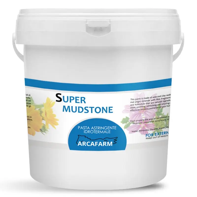 Pasta astringente idrotermale Arcafarm SUPER MUDSTONE da kg 4 Prezzo Ridotto
