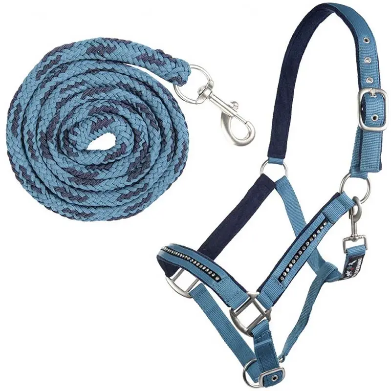 Set capezza e lunghina Crystal HKM Economico