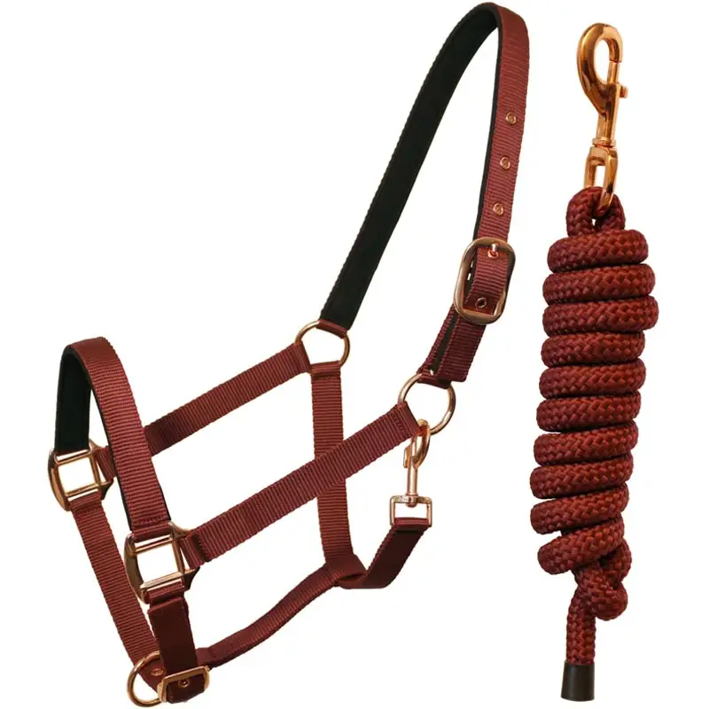 Cavezza in nylon robusta con lunghina abbinata Occasione