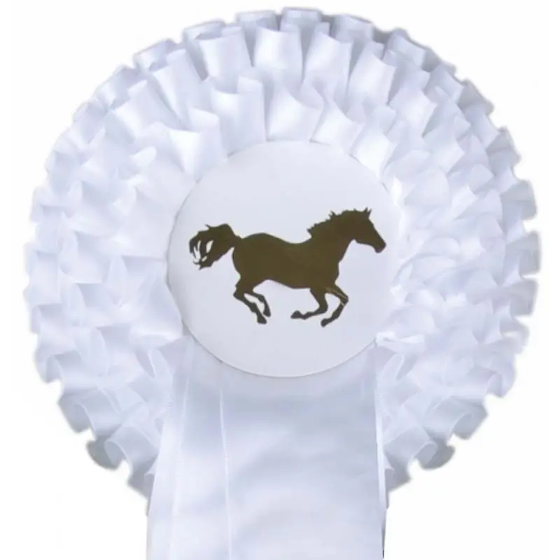 Coccarda da premiazione da 13 cm confezione 5 pezzi Ultime Pezzi