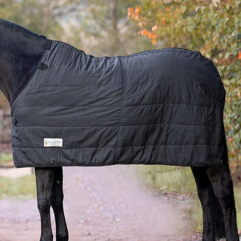 Compra Adesso Imbottitura interna 100g / Sotto coperta da Paddock Waldhausen