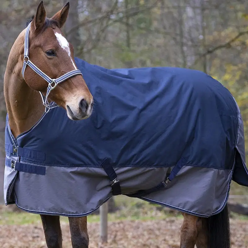 Ordina Subito Coperta Paddock impermeabile 600D Equitheme per cavalli e pony, senza imbottitura