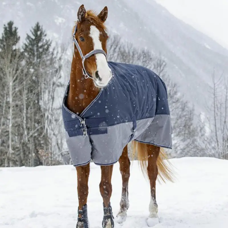 A Buon Prezzo Coperta Paddock impermeabile per cavalli e pony Tyrex 600D, imbottitura 300g