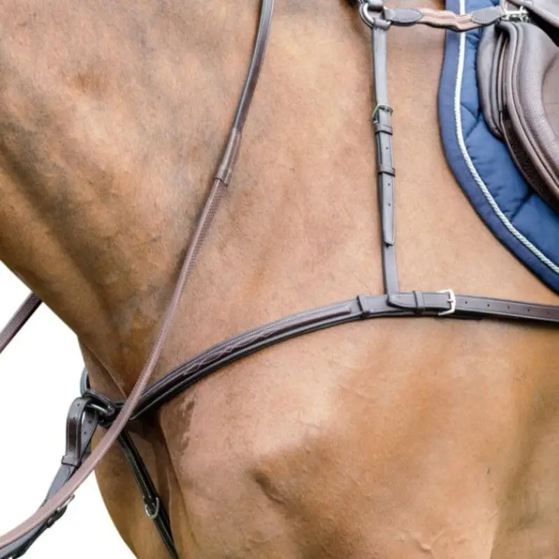 Bestseller Pettorale elastico con collare D42 Prestige
