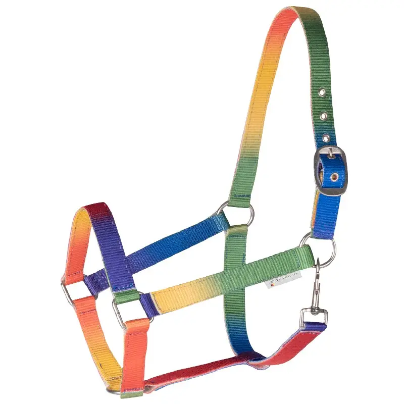 Capezza regolabile Arcobaleno in nylon Promozione