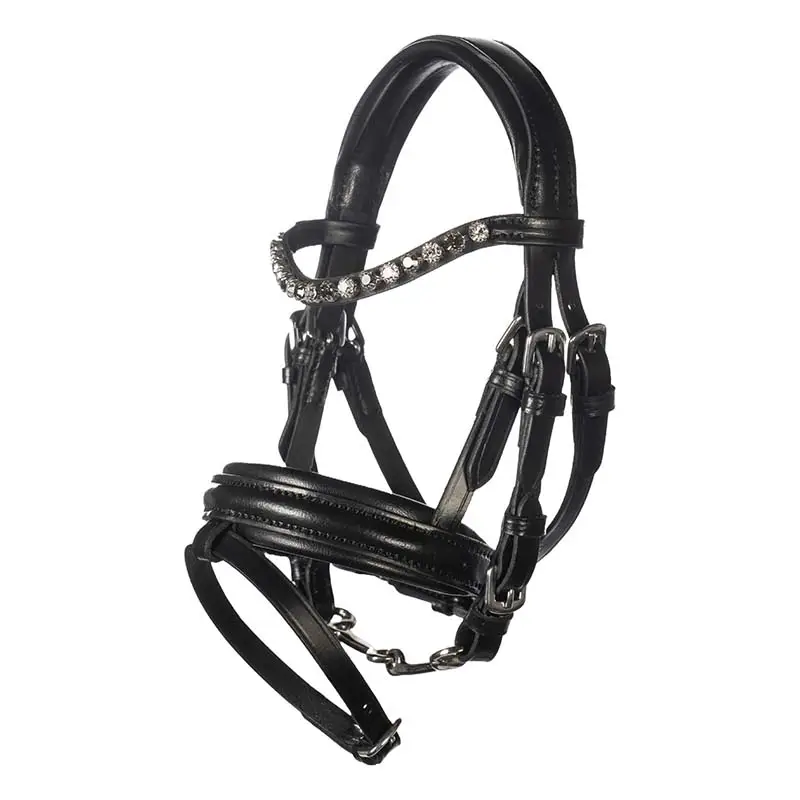 Nuova Collezione Briglia in pelle per cavallino Hobby horse