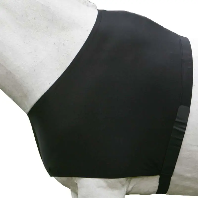Protezione petto per cavallo Comfort Vest Ultima Occasione