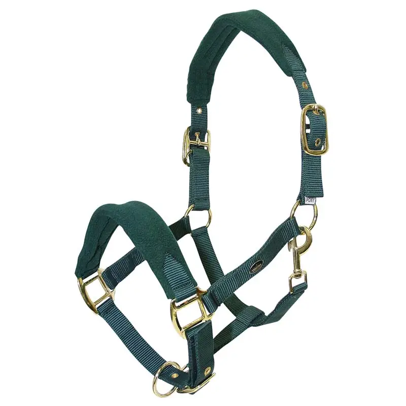 Cavezza in Nylon con riporti in Pile Spedizione Espresso