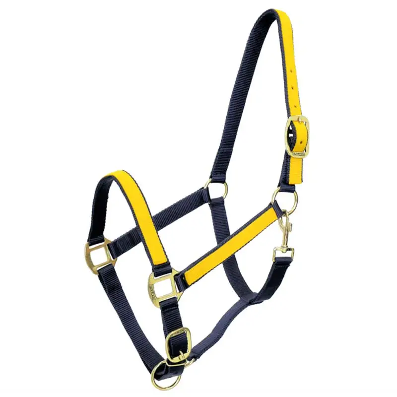 Cavezza Sintetica Bi-colore con riporti Must-Have