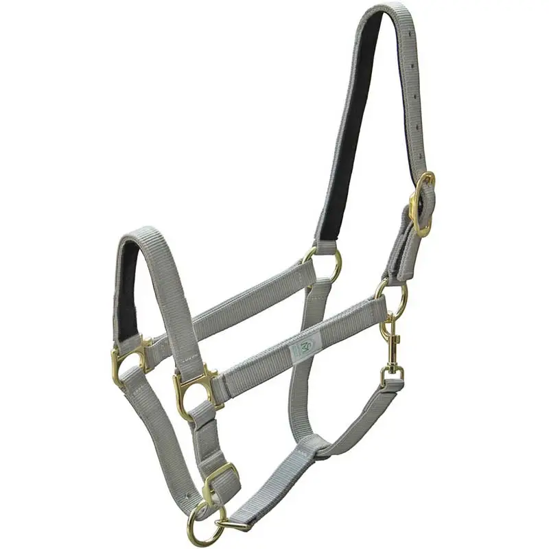 Quantità Limitata Cavezza sintetica Premium per Cavallo con interno in cuoio