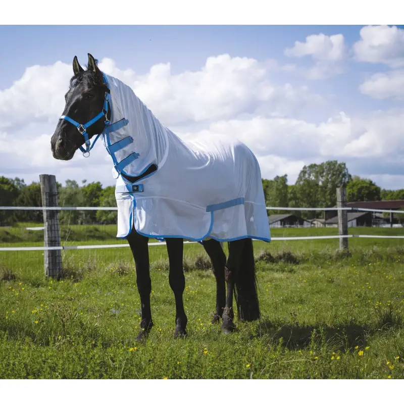 RIDING WORLD Combo Mesh Sheet Di Tendenza