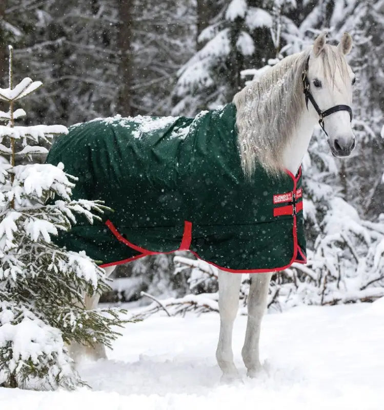 Nuova Collezione Rambo 1000D Turnout 400g HORSEWARE
