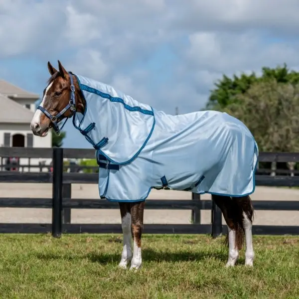 Must-Have Amigo Bug Rug Plus Fly Sheet