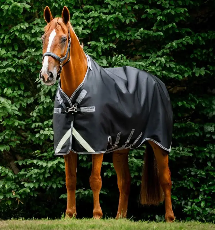 Prezzo Conveniente Rambo 1680D Turnout 50g HORSEWARE
