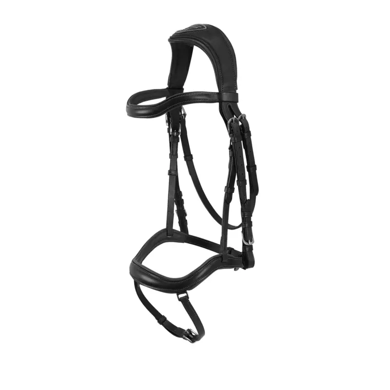 Nuova Collezione TESTIERA ANATOMICA ALLEGORIA