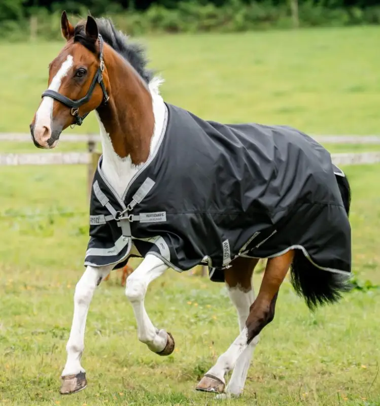 Prezzo Di Fabbrica Amigo 1200D Turnout 50g HORSEWARE