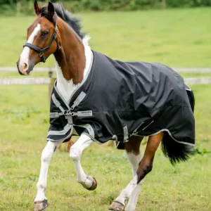 Scelto Dai Clienti Amigo 1200D Turnout 100g HORSEWARE