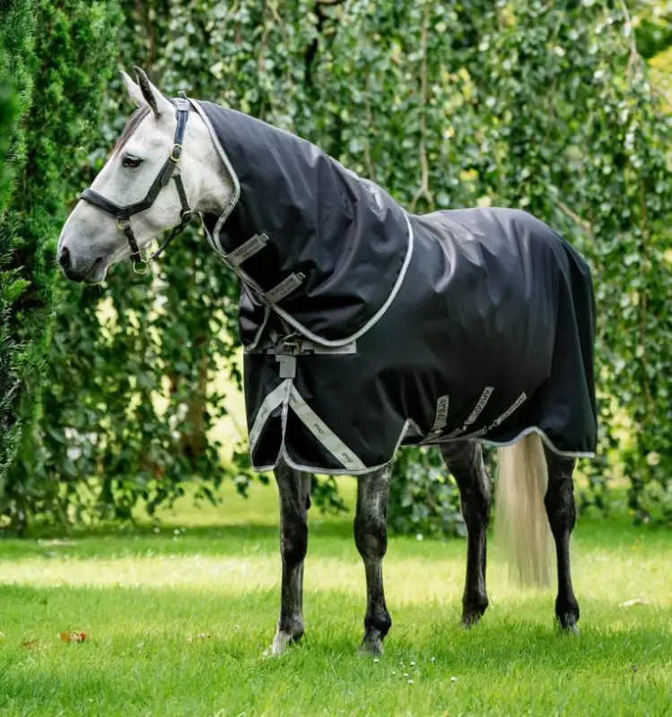 HomeAmigo Bravo 12 Plus Turnout (400g Heavy) HORSEWARE Scelto Dai Clienti