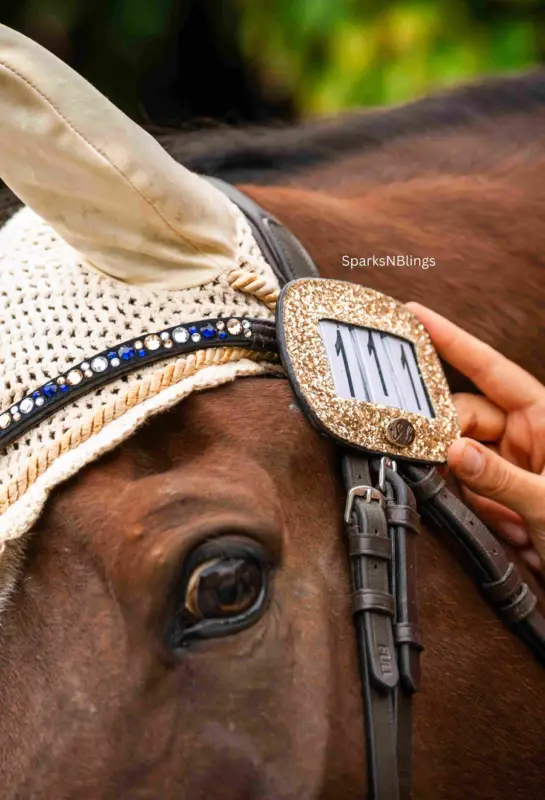 Targa con numero per cavallo glitterato SPARKS N BLINGS Spedito Oggi