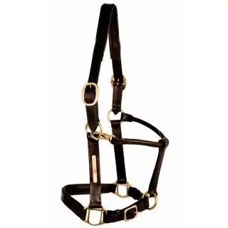 Capezza Subito Disponibile