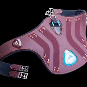 Prezzo Ridotto pararamponi eDiamond