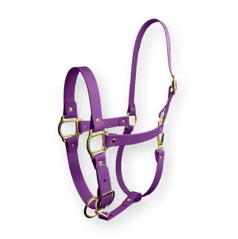 Offerta Del Giorno Capezza Violet Vibe SPARKLE UNICORN