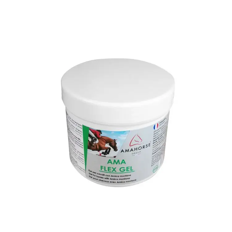 Professionale FLEX GEL (500 GR)