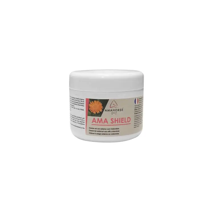 Vendita Finale AMA SHIELD SCUDO (250 GR)