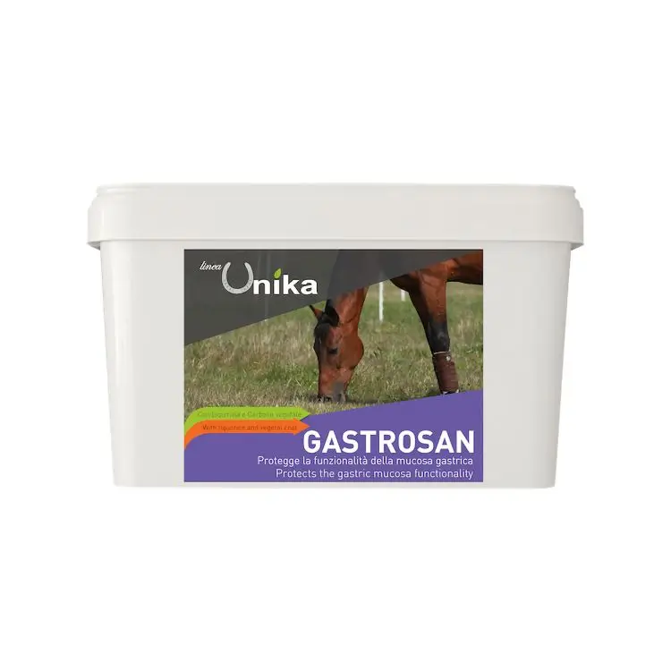 GASTROSAN (1.5 KG) LU0027 Economico
