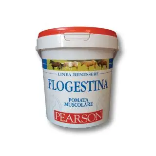 Economico Flogestina pearson pomata muscolare gr. 1500