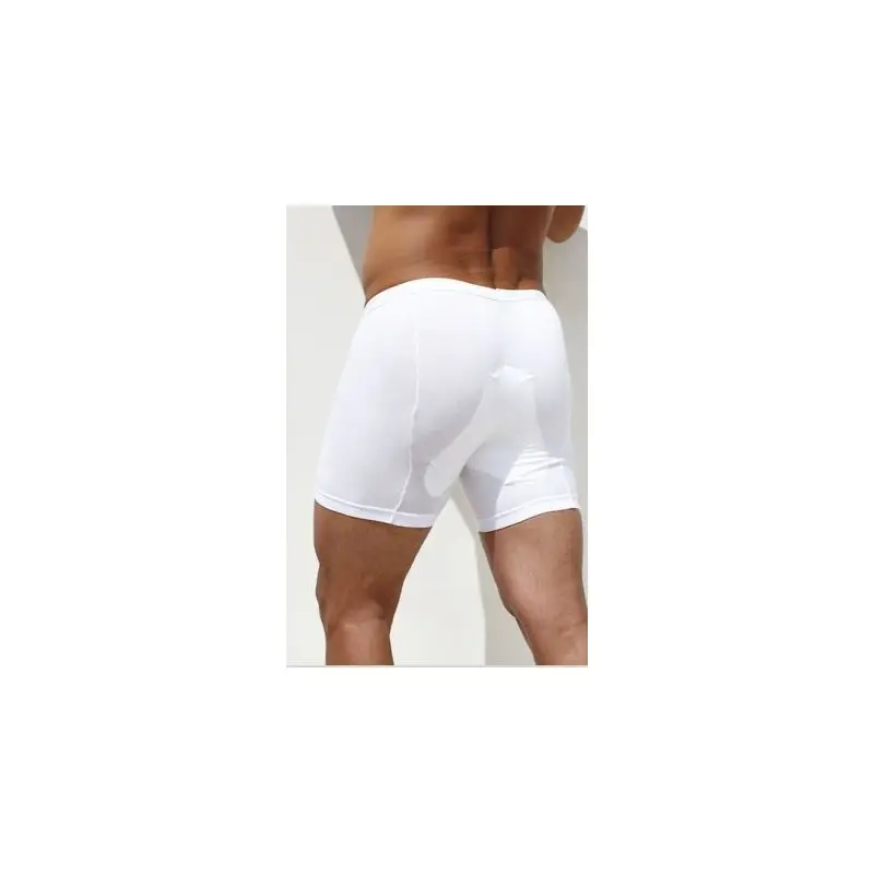 Spedito Oggi Boxer gel Razza Pura uomo english