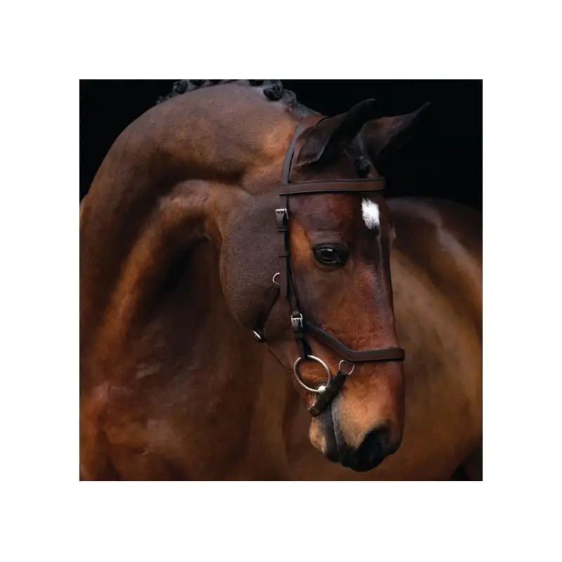 Briglia Rambo Micklem Competition Bridle Occasione Imperdibile