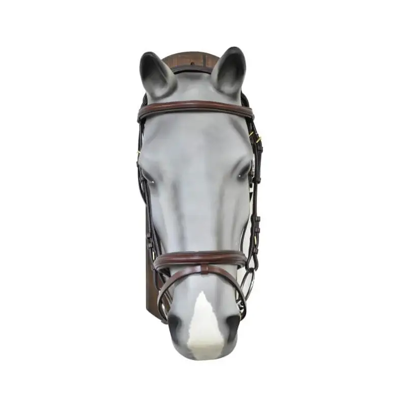 Must-Have Testiera con redini Sarm Hippique