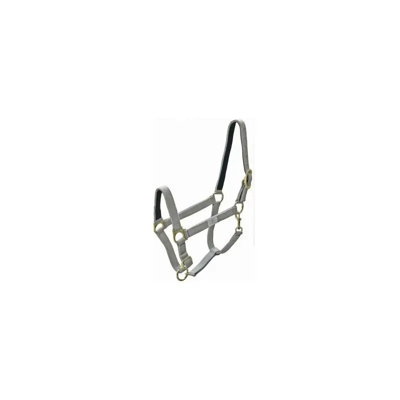 Offerta Speciale Cavezza Winner nylon