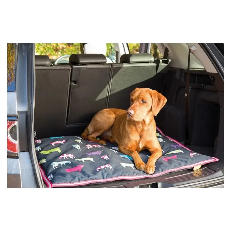 Occasione Cuscino per cane 80x100