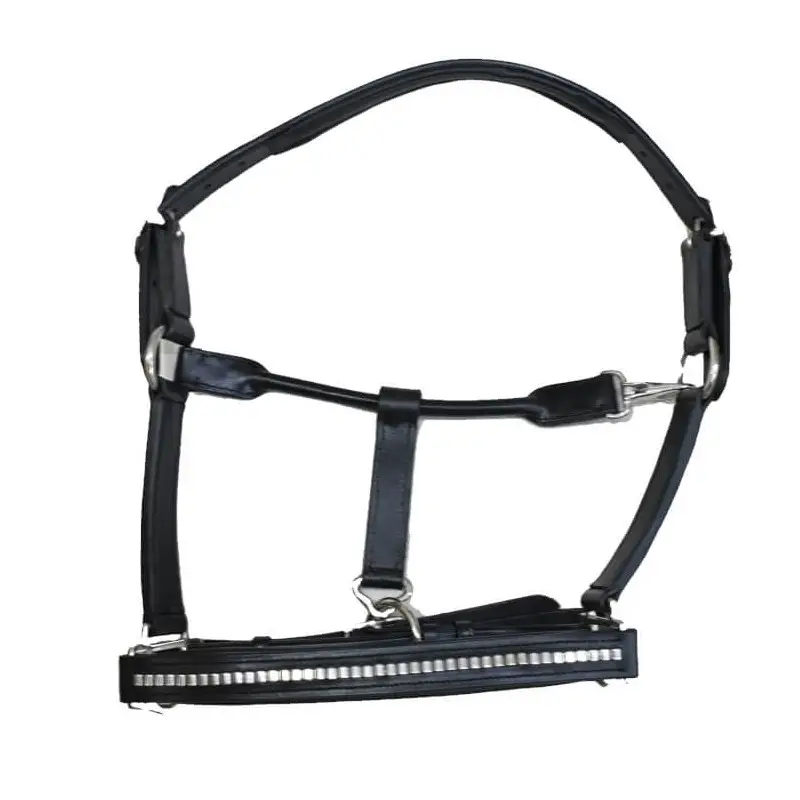 Capezza in cuoio con clincker Sarm Hippique Compra Online