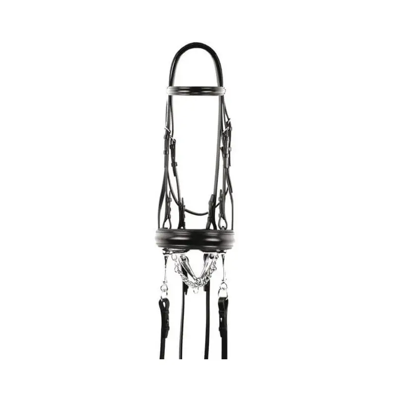 Ultime Pezzi Briglia Equestro dressage