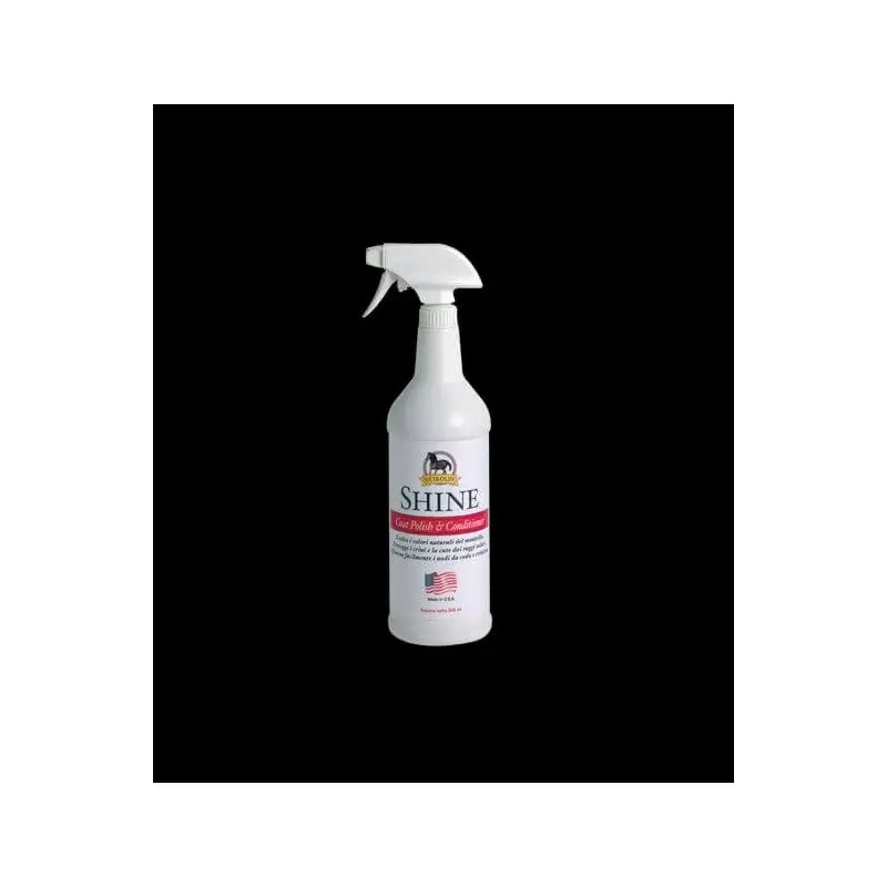 Vetrolin Shine Subito Disponibile