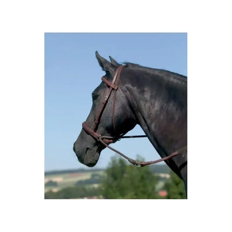 Direttamente Dal Produttore Bitless bridle Connection