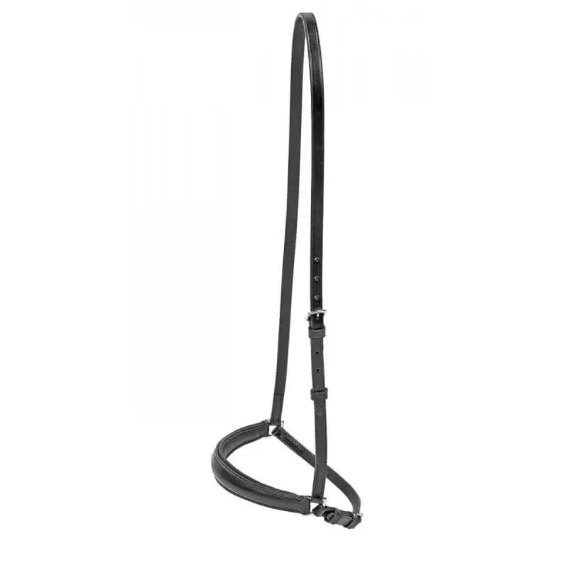 Offerta Cavezzino Hannoveriano