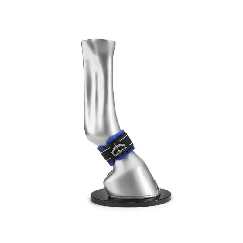Pro Wrap Magnetik Veredus Saldi